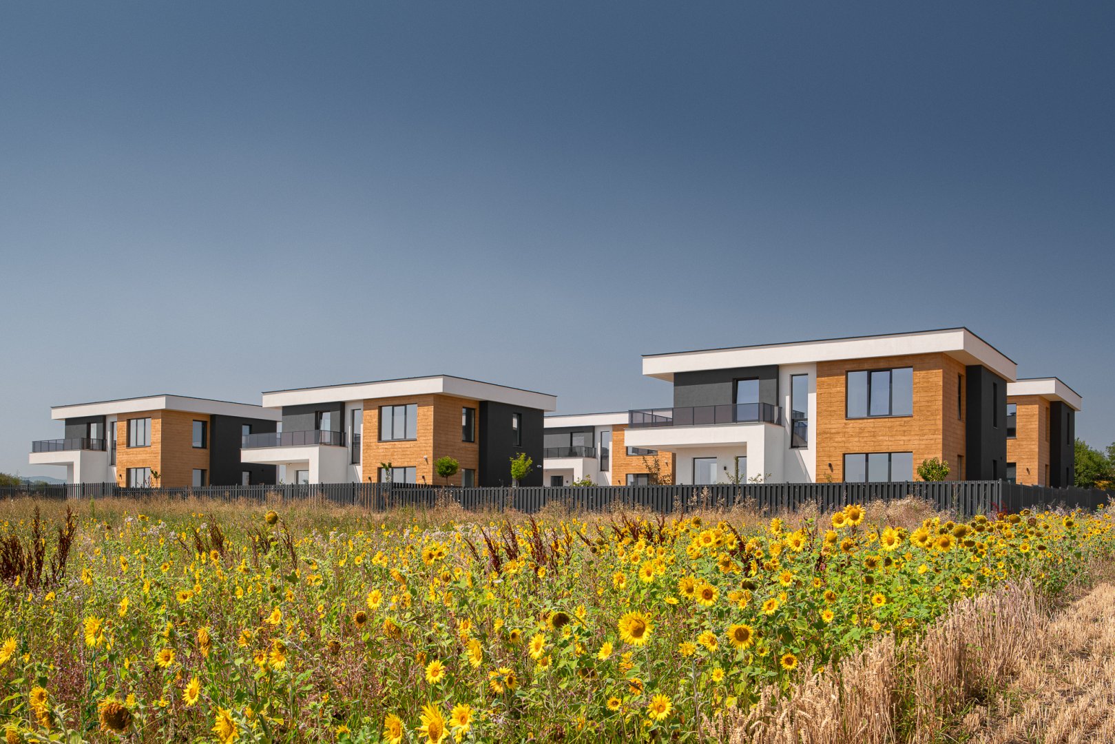 SUNNY HOUSES PROLESHA се намира в община Божурище